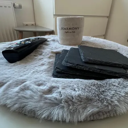Harmony Stylishes Mit Kueche Appartamento